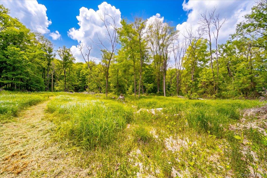 Jackson Corners Road Red Hook, NY 12571 - Photo 23 of 24 Gallery Image 23