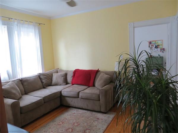 11 Hurd Road, Unit 2 Brookline, MA 02445 - Photo 3 of 18 a living room with furniture and a potted plant