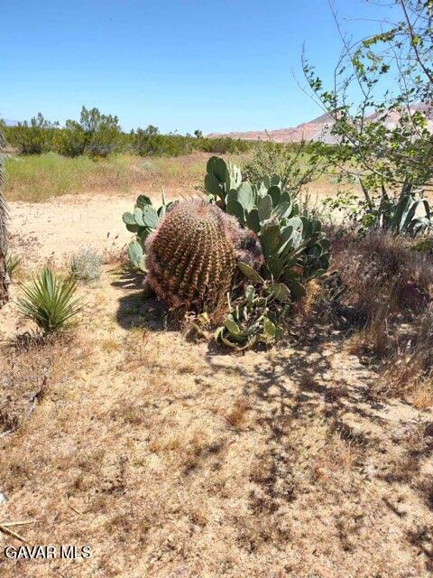 10376 55th Street West Mojave, CA 93501 - Photo 2 of 10 a view of a lake with a mountain in the background