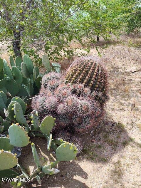 10376 55th Street West Mojave, CA 93501 - Photo 7 of 10 a bird view of lake