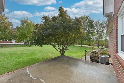 a view of a garden with trees