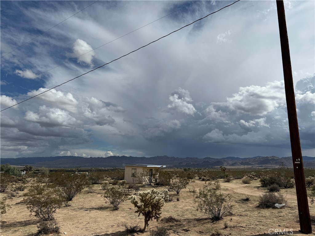 62823 Appian Way Joshua Tree, CA 92252 - Photo 6 of 25