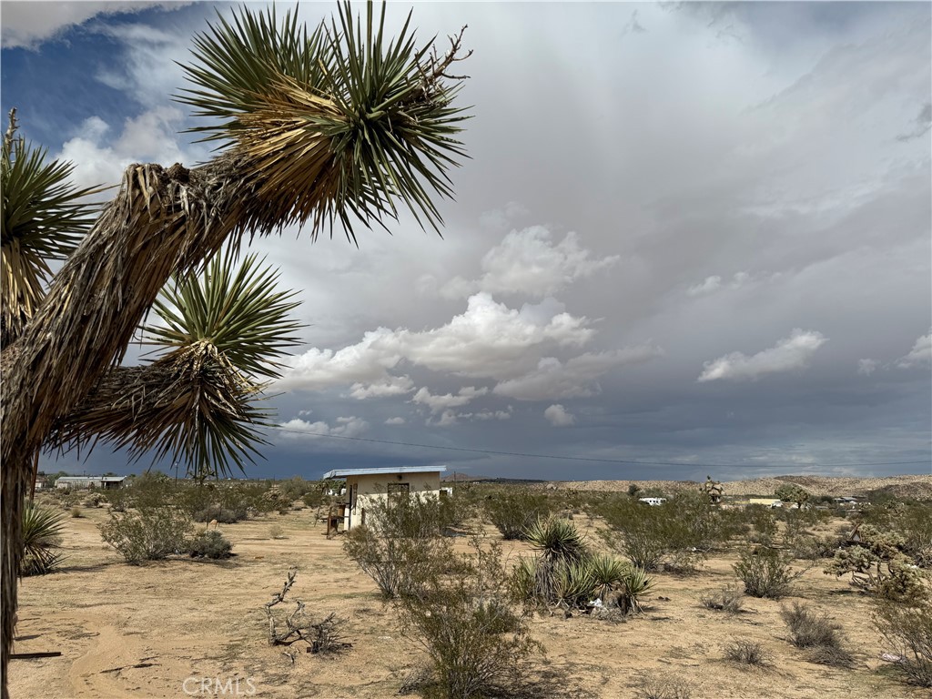 62823 Appian Way Joshua Tree, CA 92252 - Photo 8 of 25 a view of yard and ocean