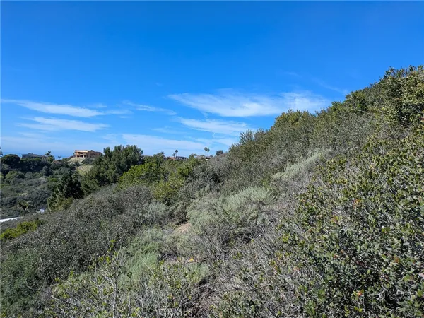 $6,000,000 | 504 East Avenida San Juan, San Clemente, CA 92672