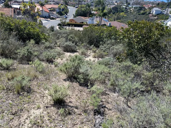 $6,000,000 | 504 East Avenida San Juan, San Clemente, CA 92672