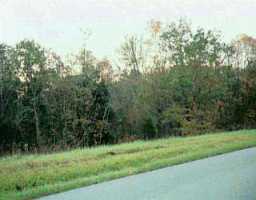 Scrabble Road Bagdad, KY 40003 - Photo 1 of 1 Primary Photo