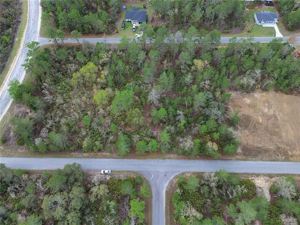 a view of a yard with a tree