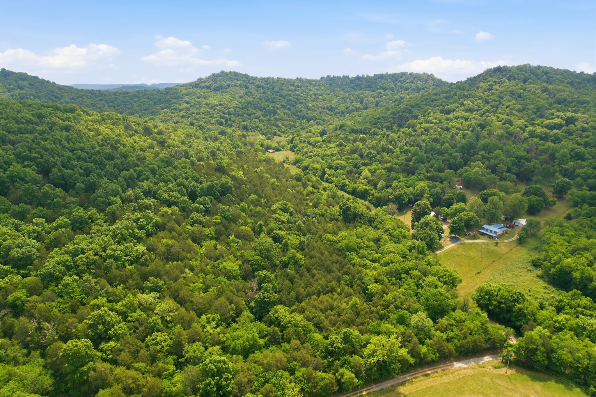 1780 Chumley Hollow Road Watertown, TN 37184 - Photo 3 of 14 a view of a green field with lots of bushes