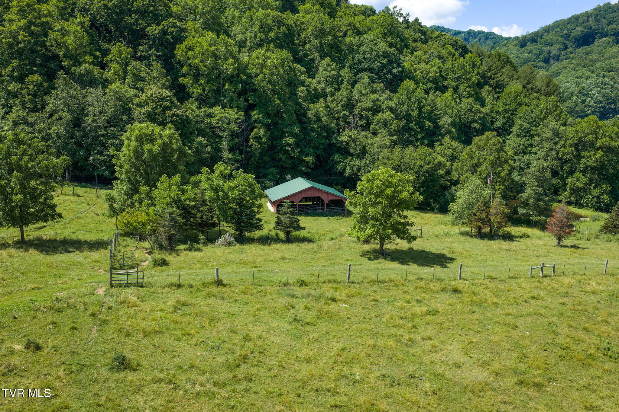 120 Teaberry Road Roan Mountain, TN 37687 - Photo 23 of 56 22-web-or-mls-DJI_20260612112236_0259_D
