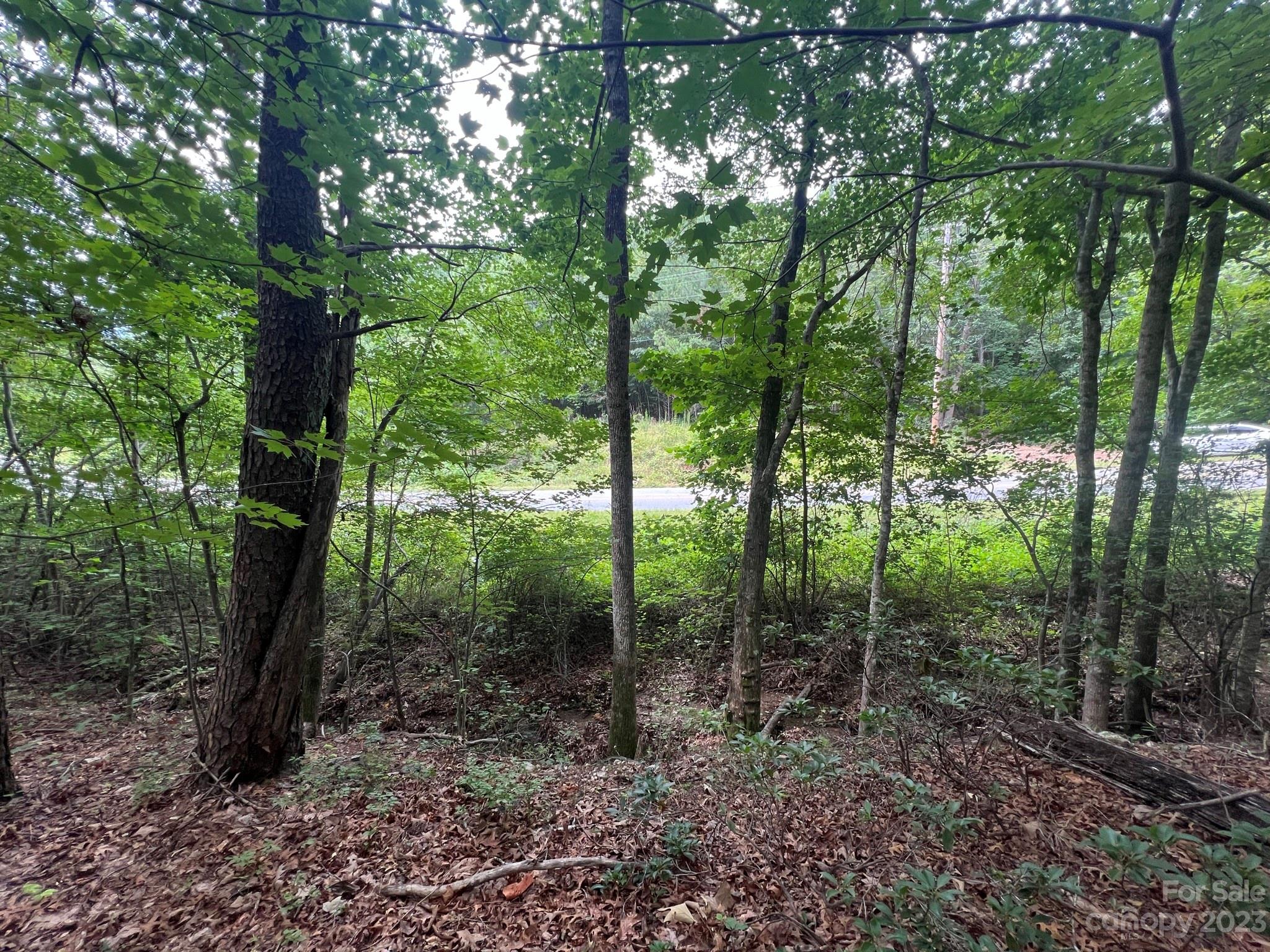 999 Silver Creek Road Mill Spring, NC 28756 - Photo 18 of 23 a view of a forest