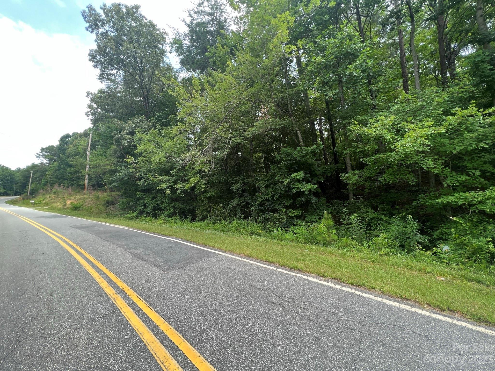 999 Silver Creek Road Mill Spring, NC 28756 - Photo 23 of 23 a view of a yard with a street