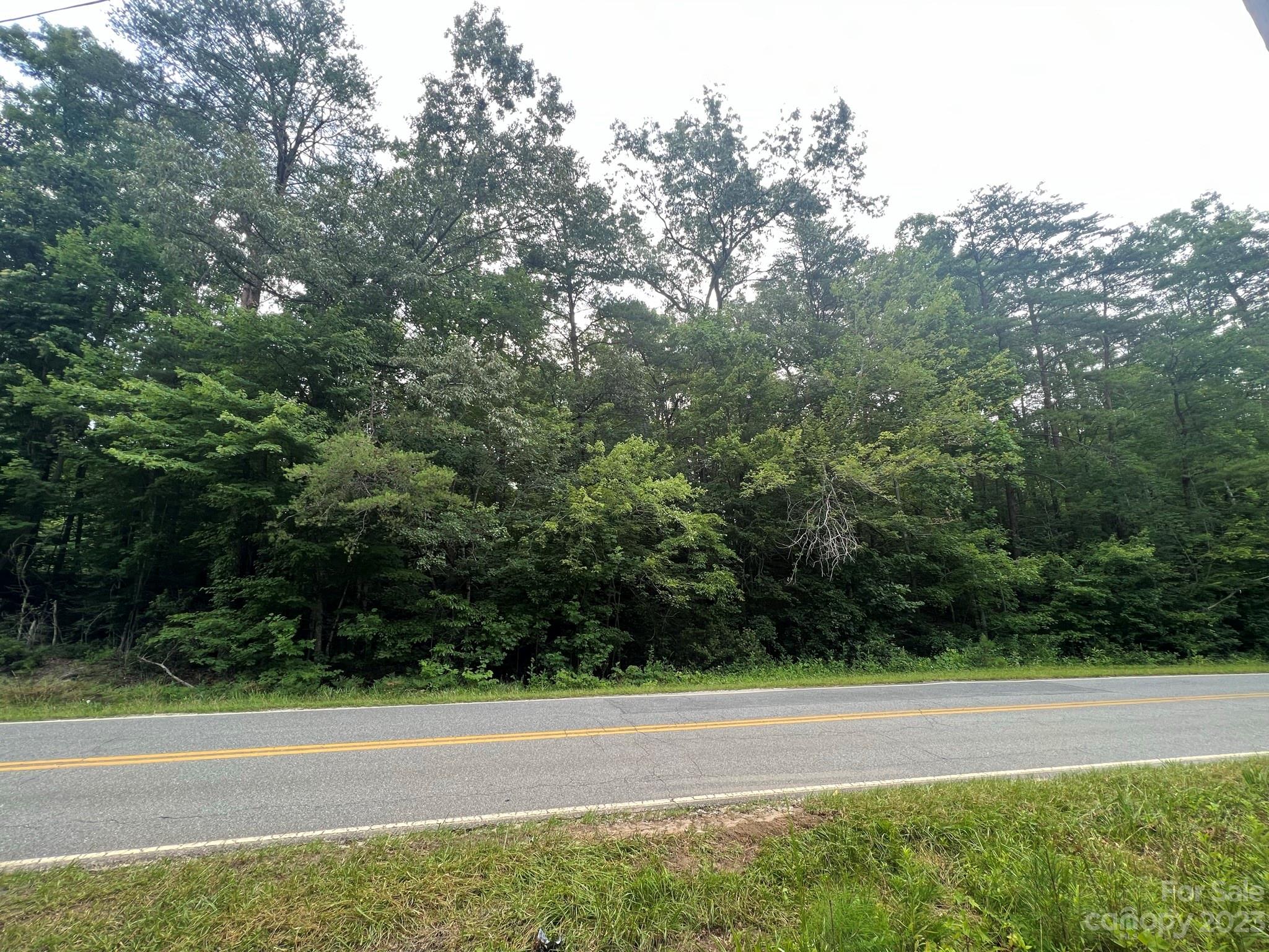 999 Silver Creek Road Mill Spring, NC 28756 - Photo 5 of 23 a view of a yard with a large trees