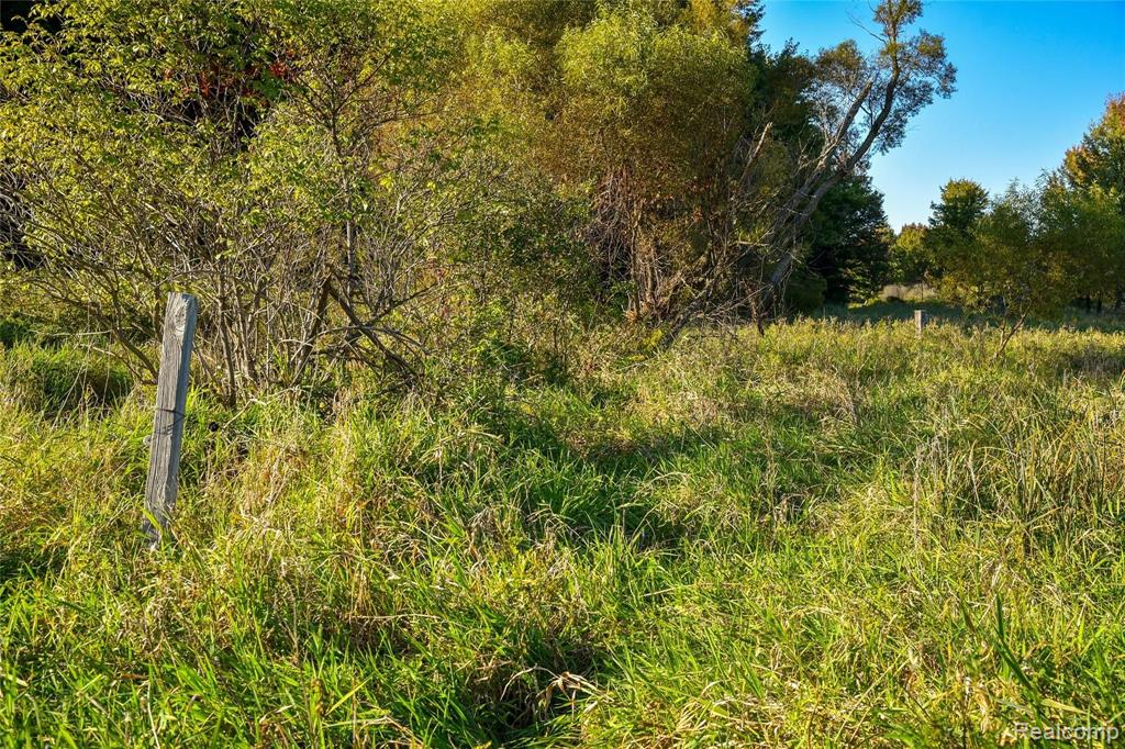 0 Thomas Road Oxford, MI 48371 - Photo 20 of 52 Gallery Image 20