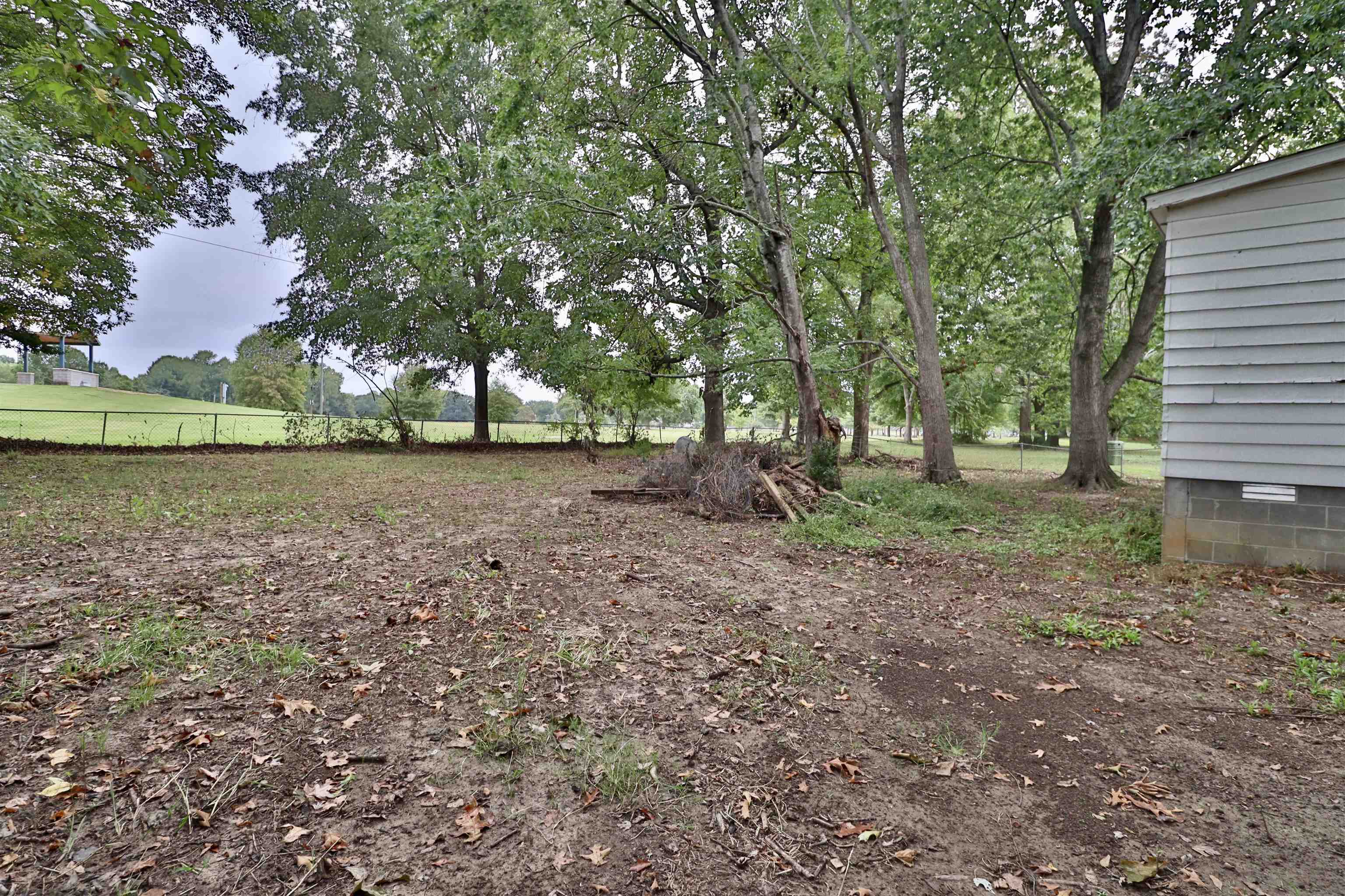 224 Kellar Avenue Ripley, TN 38063 - Photo 2 of 26 a backyard of a house with lots of green space