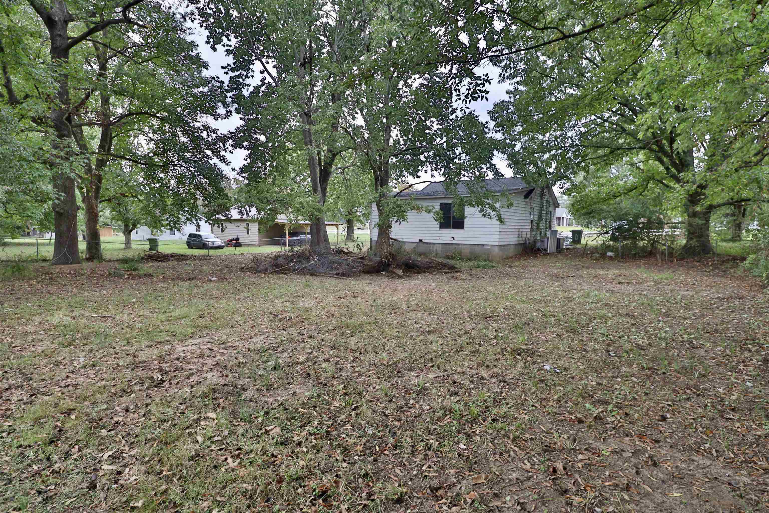 224 Kellar Avenue Ripley, TN 38063 - Photo 23 of 26 a view of a house with a tree