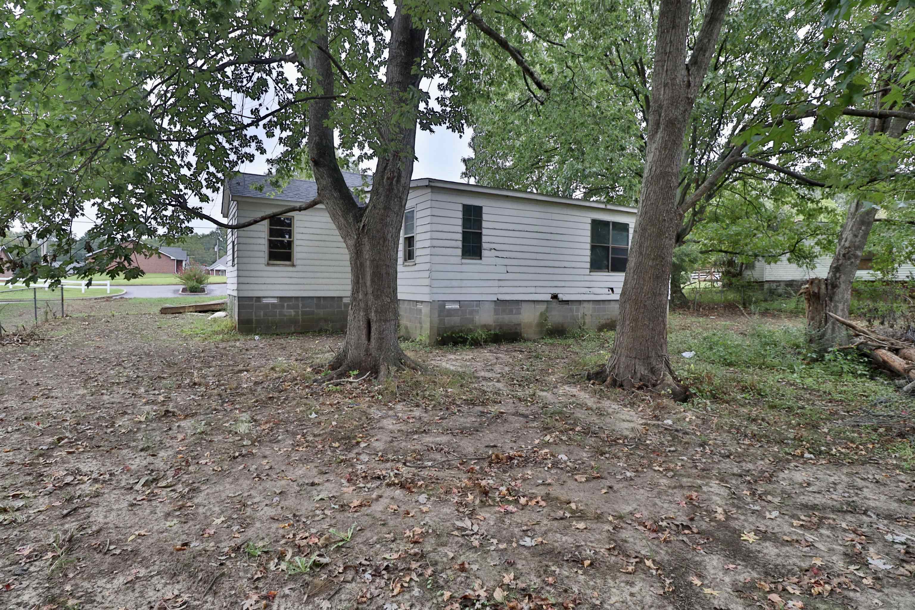 224 Kellar Avenue Ripley, TN 38063 - Photo 24 of 26 a view of a house with yard and a tree