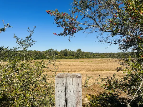 $37,000 | Lot 7 East E Highway, Bonifay, FL 32425