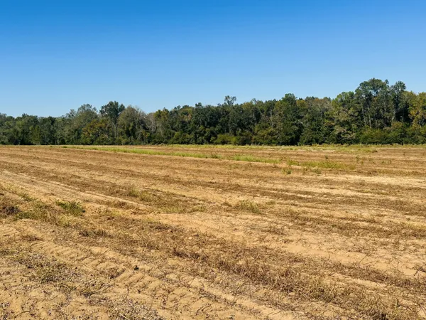 $37,000 | Lot 7 East E Highway, Bonifay, FL 32425