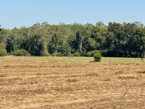 $37,000 | Lot 7 East E Highway, Bonifay, FL 32425