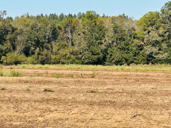 $37,000 | Lot 7 East E Highway, Bonifay, FL 32425