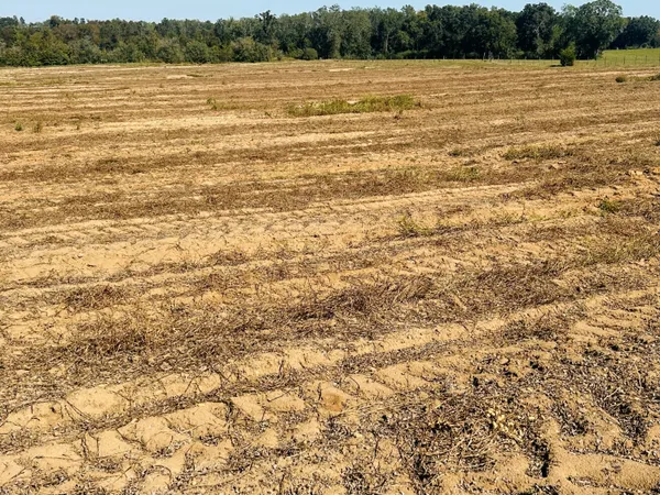 $37,000 | Lot 7 East E Highway, Bonifay, FL 32425