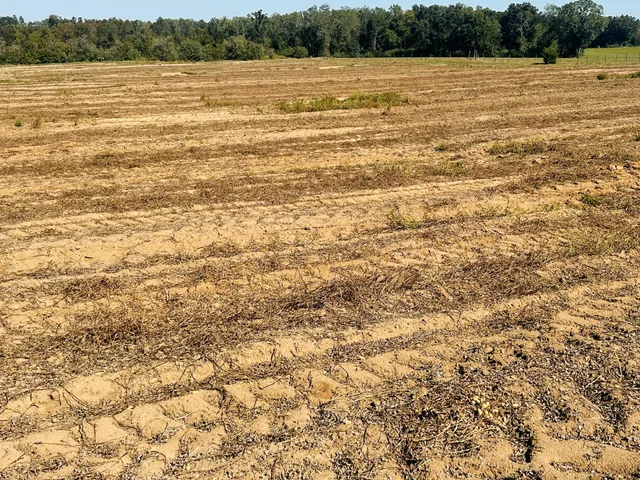 a view of a lake view