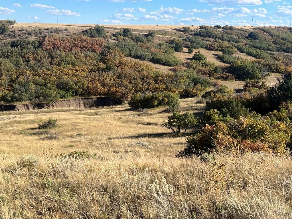 Tbd Overlook Drive Rye, CO 81069 - Photo 11 of 33