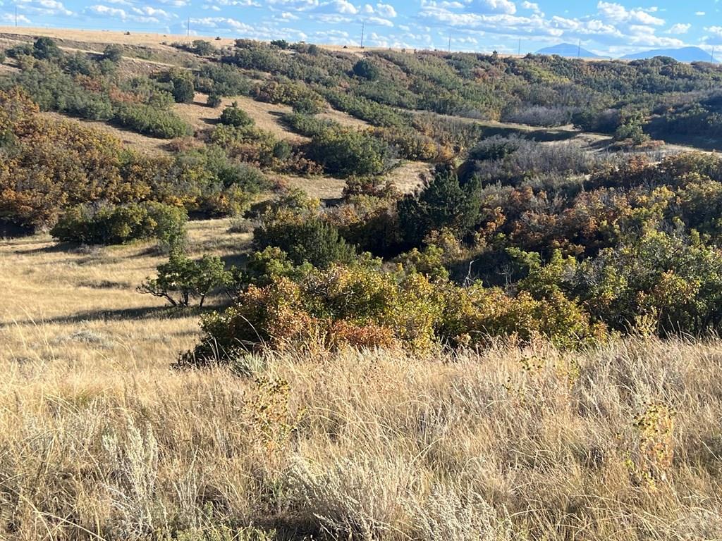 Tbd Overlook Drive Rye, CO 81069 - Photo 12 of 33