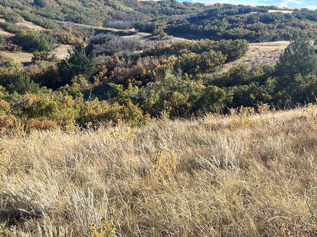 Tbd Overlook Drive Rye, CO 81069 - Photo 13 of 33
