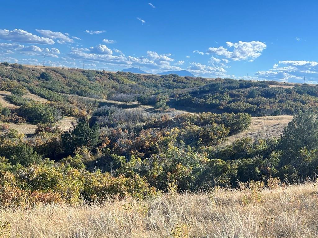 Tbd Overlook Drive Rye, CO 81069 - Photo 2 of 33