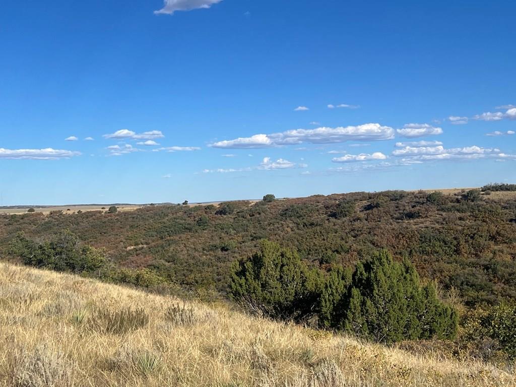 Tbd Overlook Drive Rye, CO 81069 - Photo 8 of 33