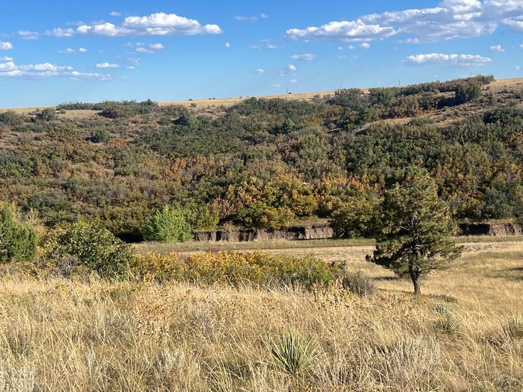 Tbd Overlook Drive Rye, CO 81069 - Photo 9 of 33