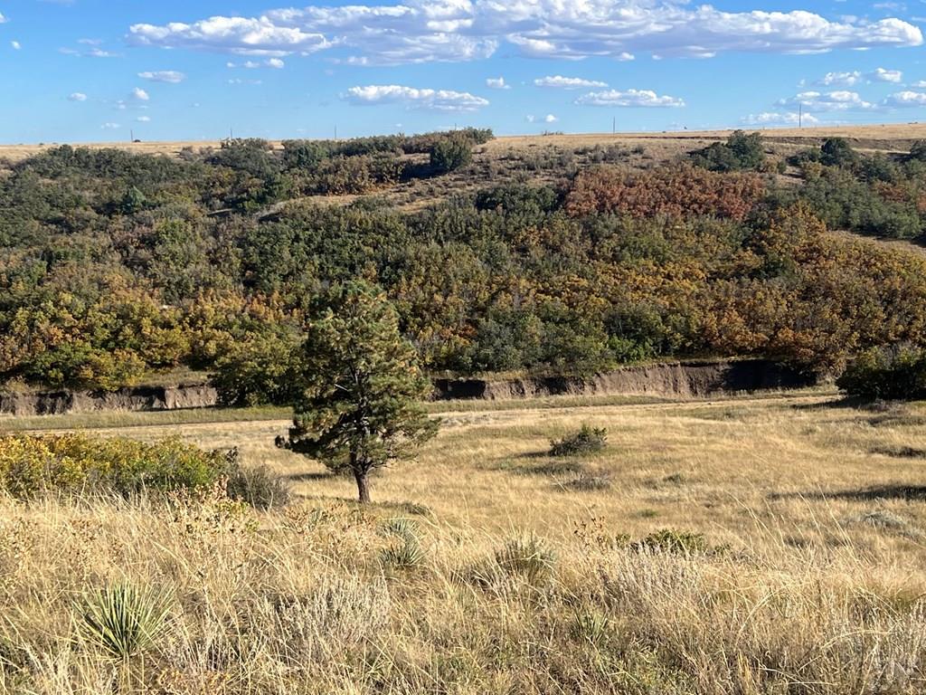 Tbd Overlook Drive Rye, CO 81069 - Photo 10 of 33