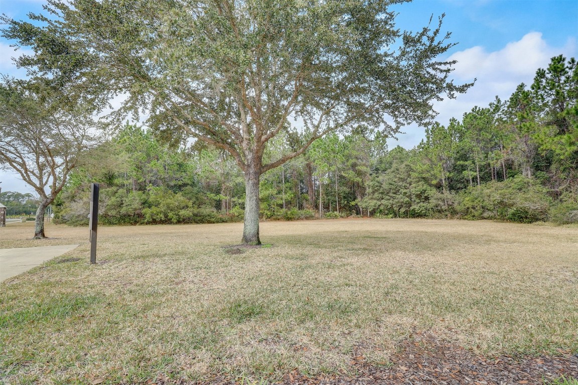 96099 Starlight Lane Yulee, FL 32097 - Photo 35 of 36 a view of a yard with a tree