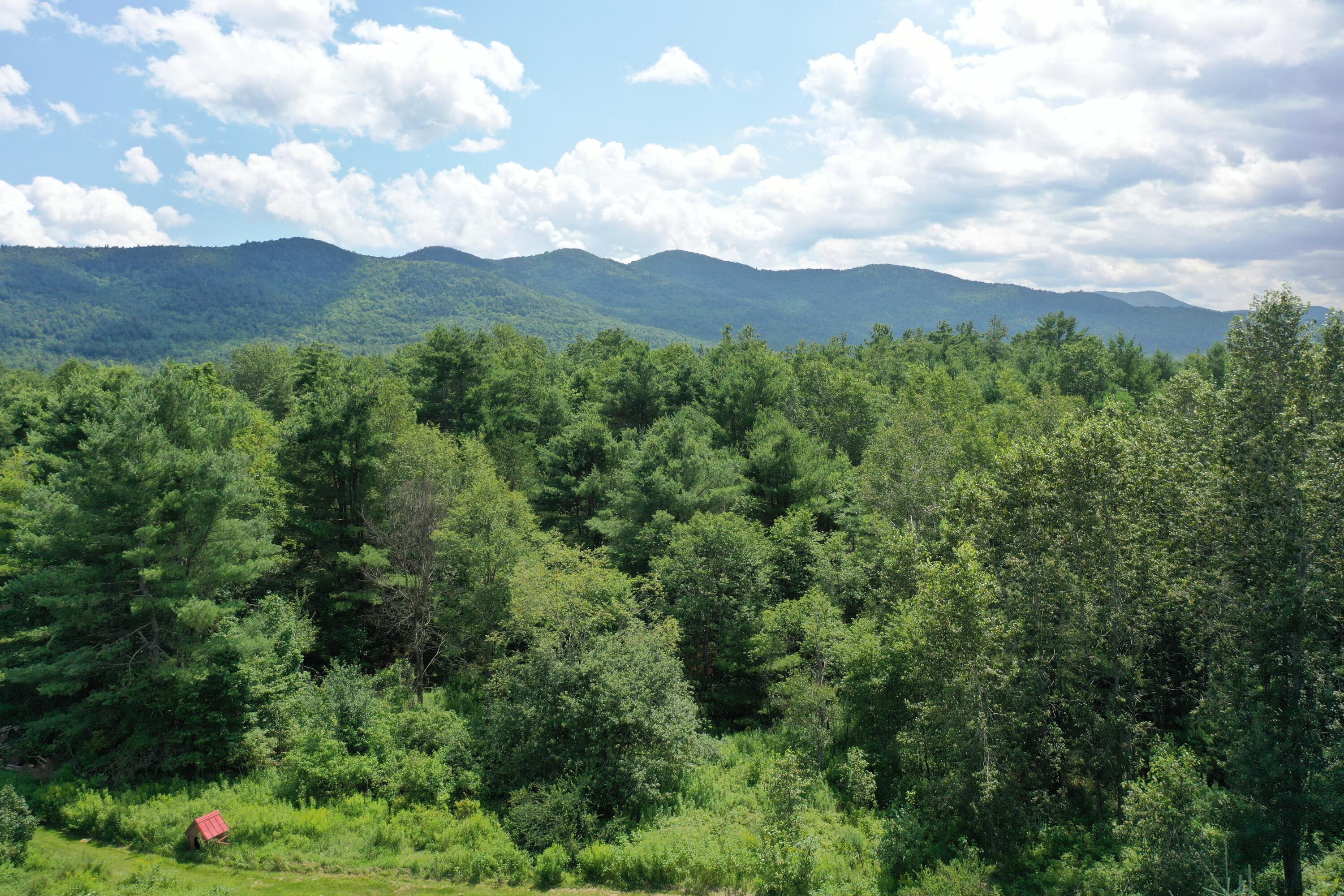 882 Stickney Bridge Road Au Sable Forks, NY 12912 - Photo 40 of 61 Gallery Image 40