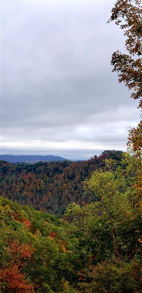 434 Laurel Fork Road Webster Springs, WV 26288 - Photo 17 of 19 Gallery Image 17