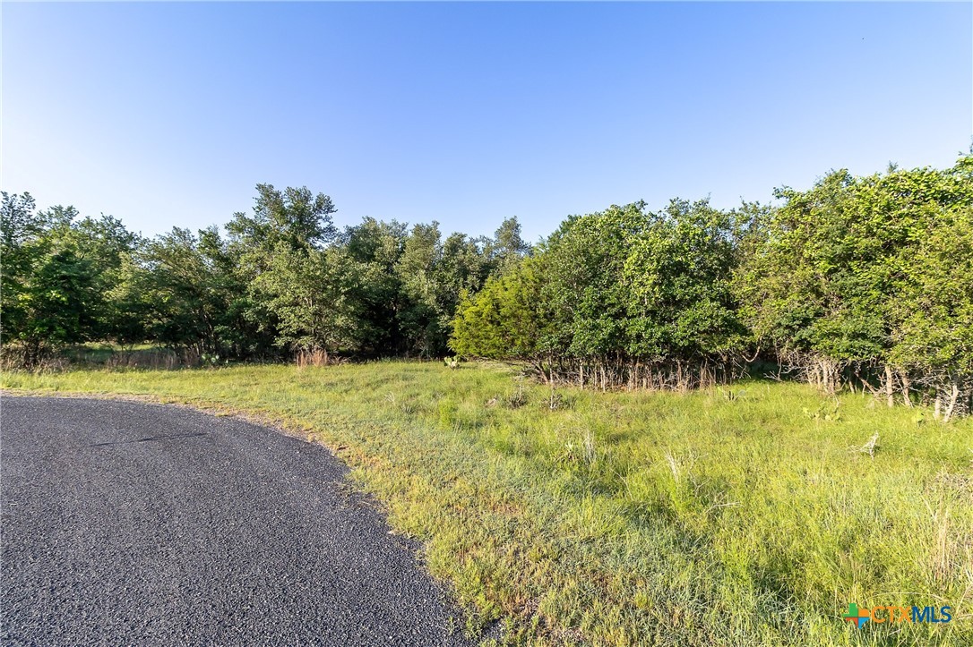 Tba Cheyenne Pass Salado, TX 76571 - Photo 2 of 8 a view of a yard with an trees