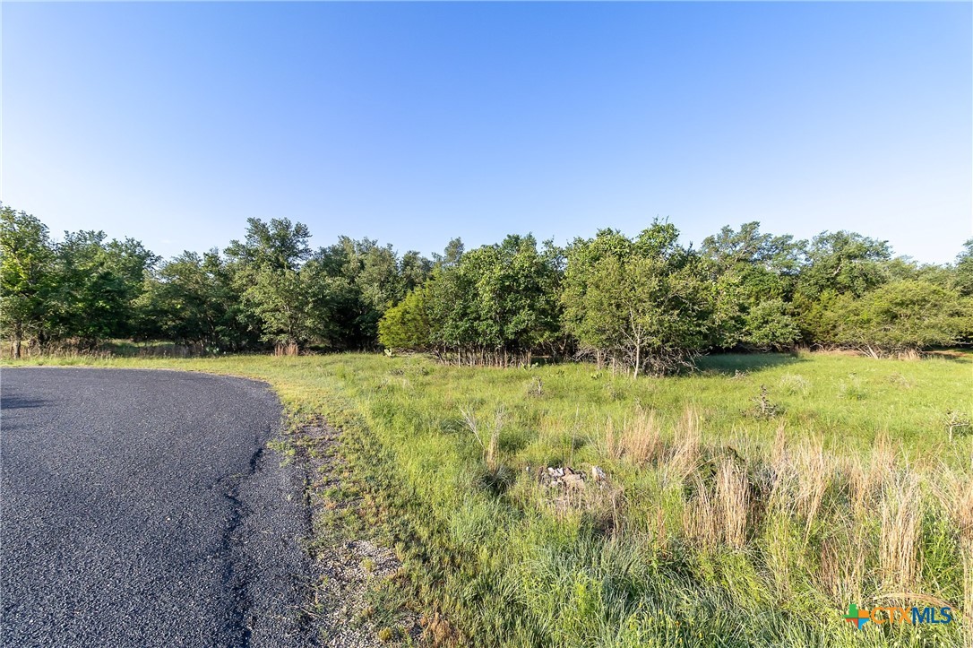 Tba Cheyenne Pass Salado, TX 76571 - Photo 3 of 8 a view of a yard with a tree