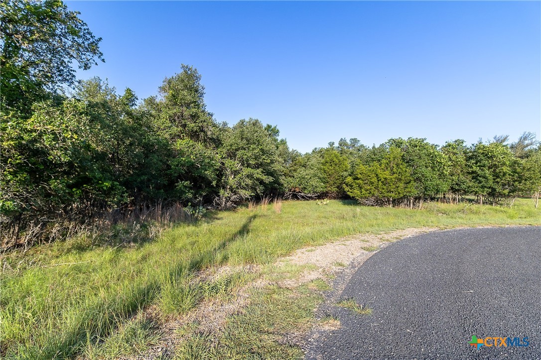 Tba Cheyenne Pass Salado, TX 76571 - Photo 4 of 8 a view of a lake with a yard