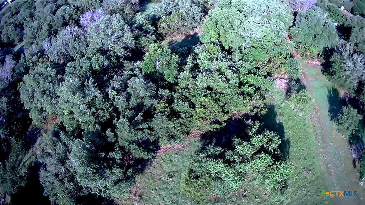 Tba Cheyenne Pass Salado, TX 76571 - Photo 5 of 8 a view of a garden with plants and flowers