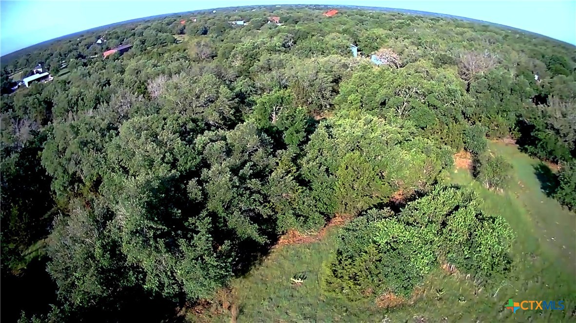 Tba Cheyenne Pass Salado, TX 76571 - Photo 6 of 8 an aerial view of a house with a lush green forest