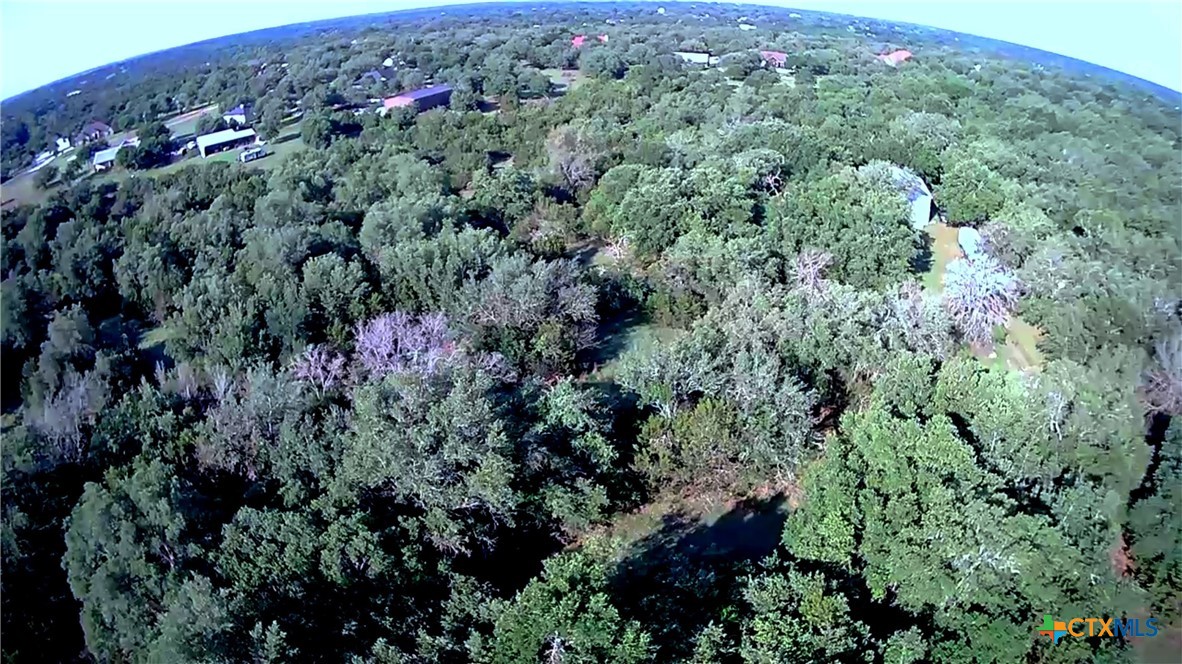 Tba Cheyenne Pass Salado, TX 76571 - Photo 7 of 8 an aerial view of a house with a lush green forest