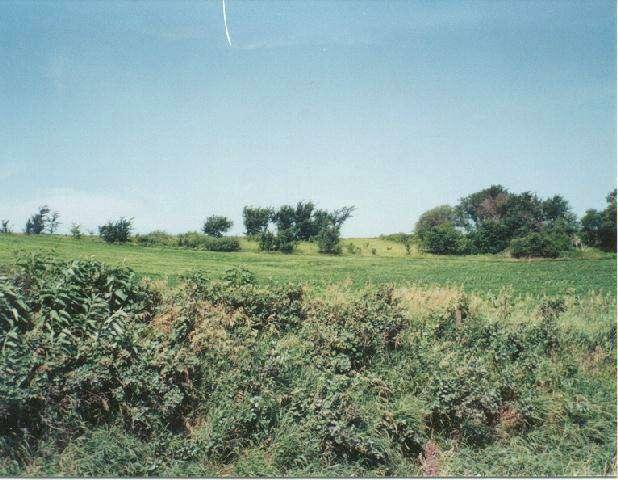 Juniper Road Underwood, IA 51576 - Photo 1 of 1 Listing Photo