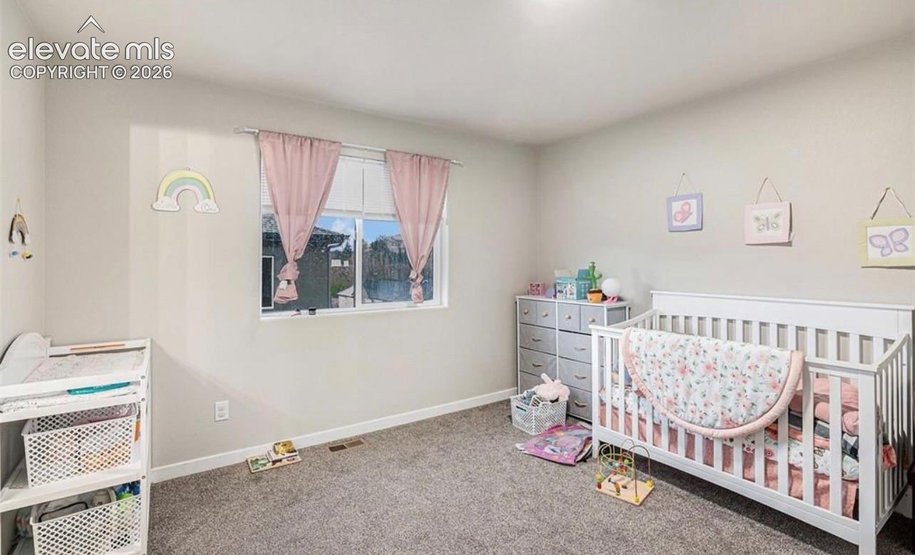 5233 Palomino Ranch Point Colorado Springs, CO 80922 - Photo 12 of 20 Gallery Image 12