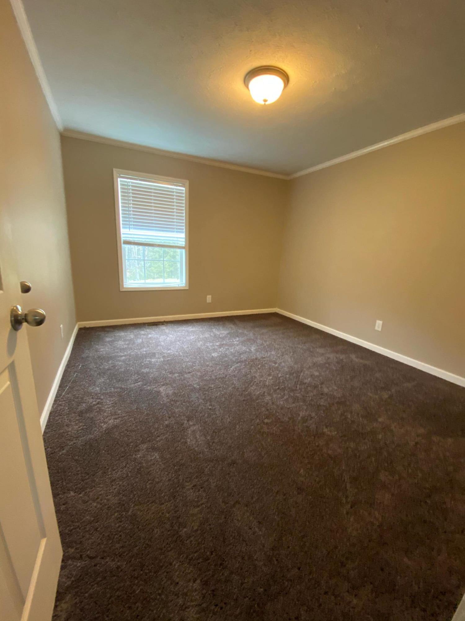 137 Lost Road Nettie, WV 26681 - Photo 12 of 39 Gallery Image 12