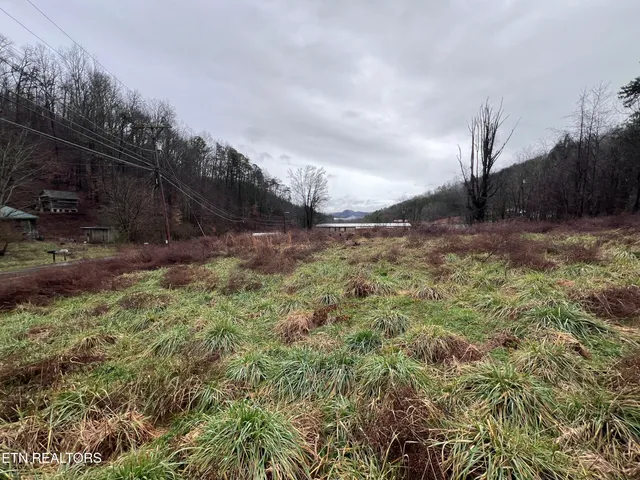 $25,000 | 117 Tanyard Loop, Calvin, KY 40813