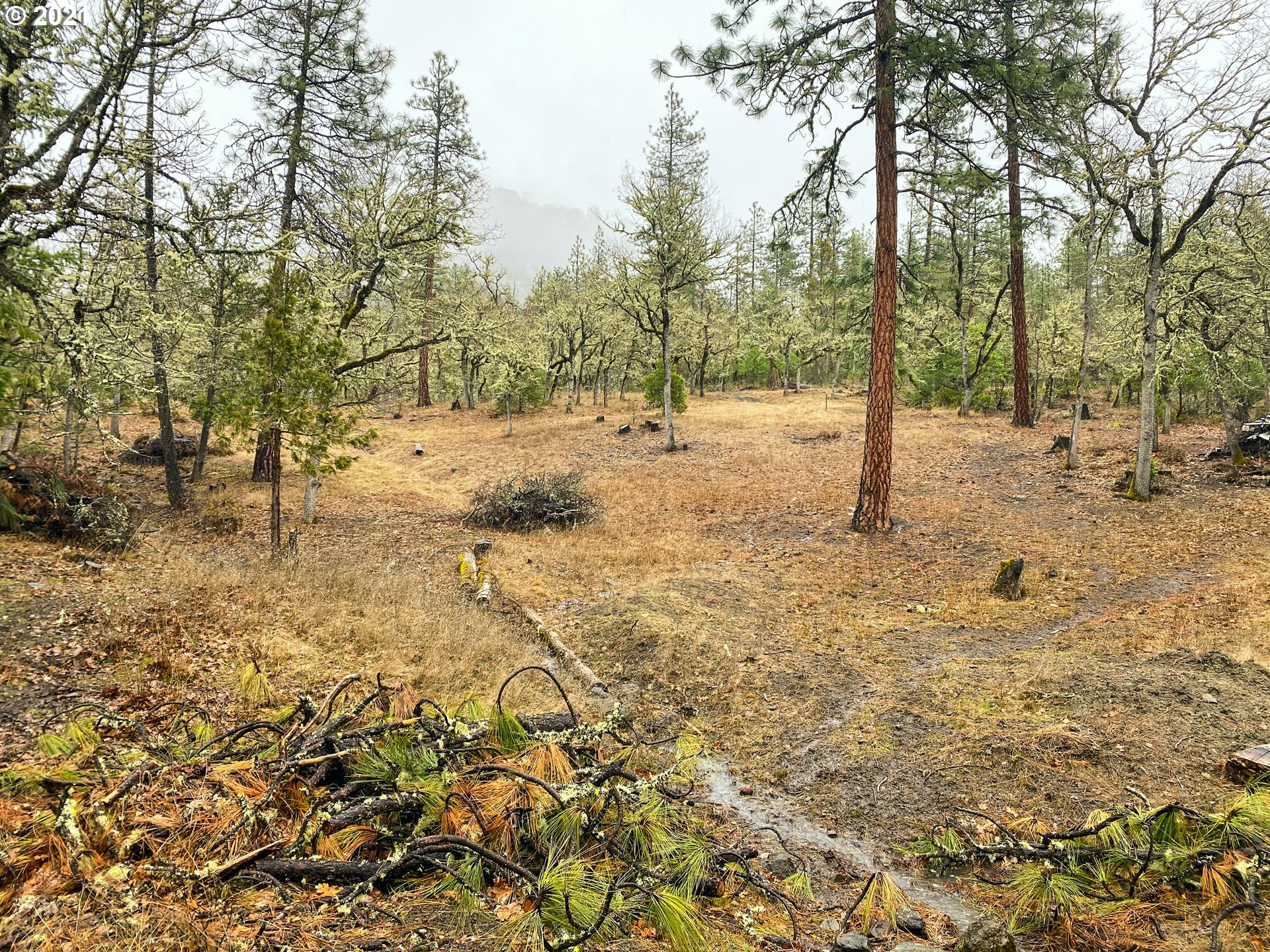 11000 East Antelope Road Eagle Point, OR 97524 - Photo 25 of 27