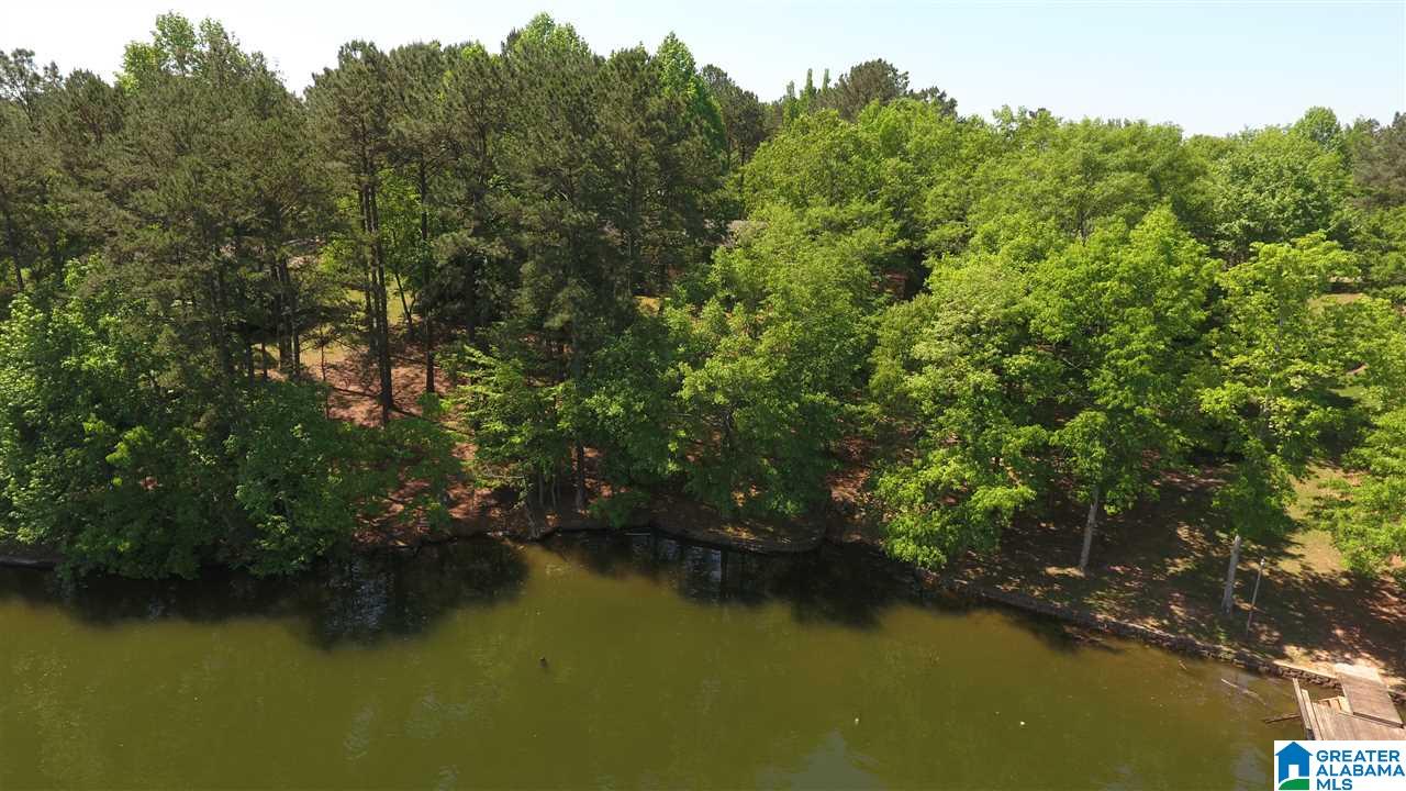 112 River Point Drive Wedowee, AL 36278 - Photo 12 of 15