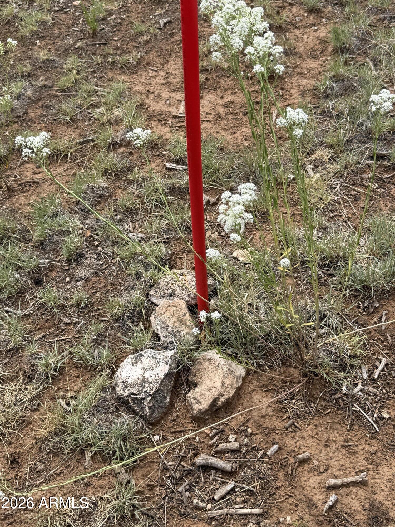 3048 Chevelon Road, Unit 147 Overgaard, AZ 85933 - Photo 12 of 13 a street sign that is on a road