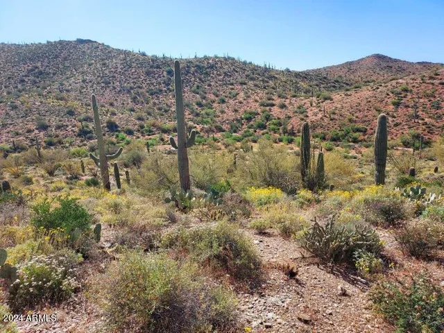 $180,000 | 0 North Hardt Tank Road, Unit 4L ALSO KNOWN AS B, Gold Canyon, AZ 85118